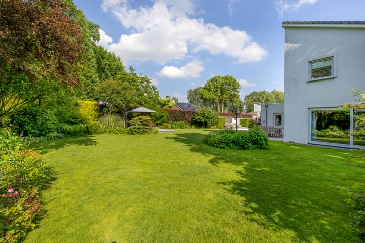 Foto 43 van De Scheifelaar 14