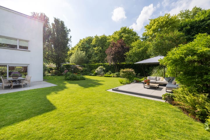 Foto 58 van De Scheifelaar 14