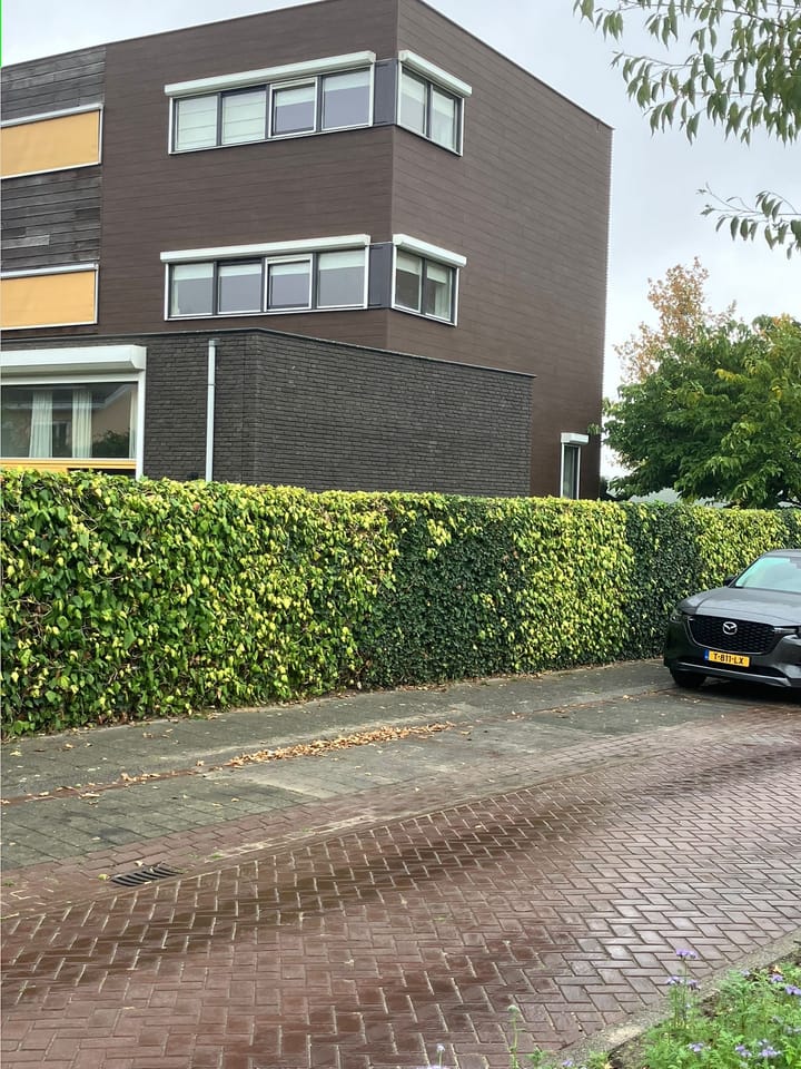 Foto 38 van Hoge Wal 78