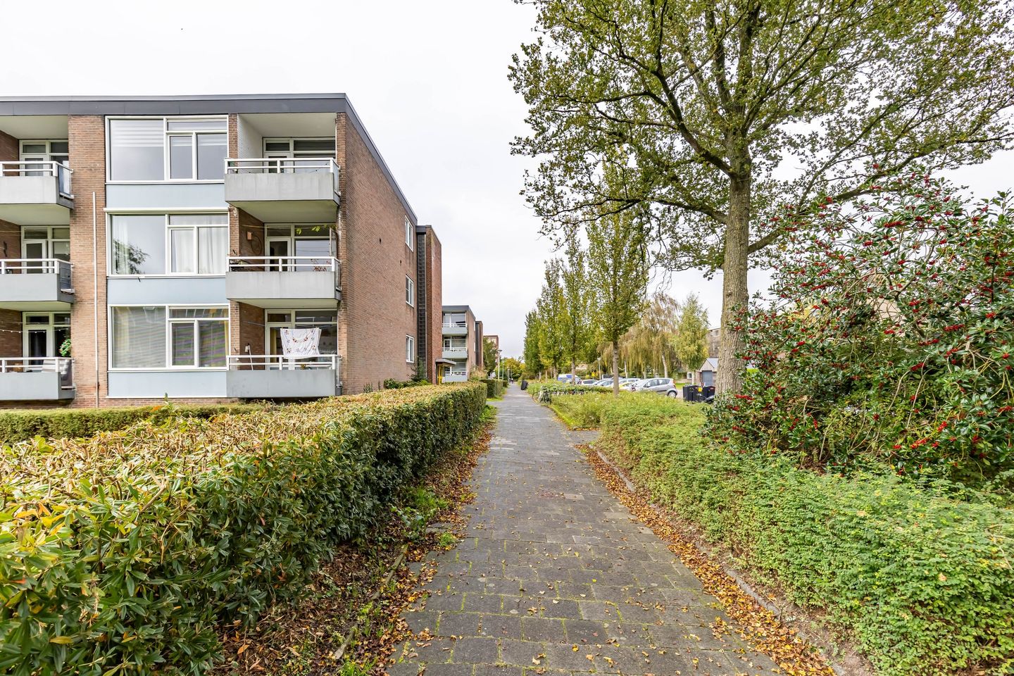 Foto 10 van Verzetsstrijderslaan 160