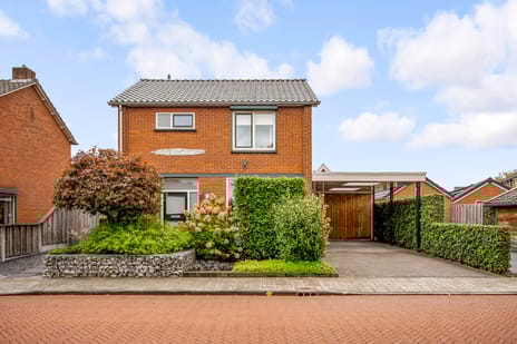 undefined main image