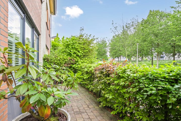 Foto 32 van Kleine Beer 19