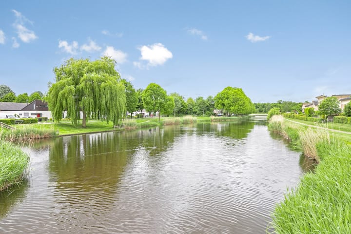 Foto 40 van Kleine Beer 19