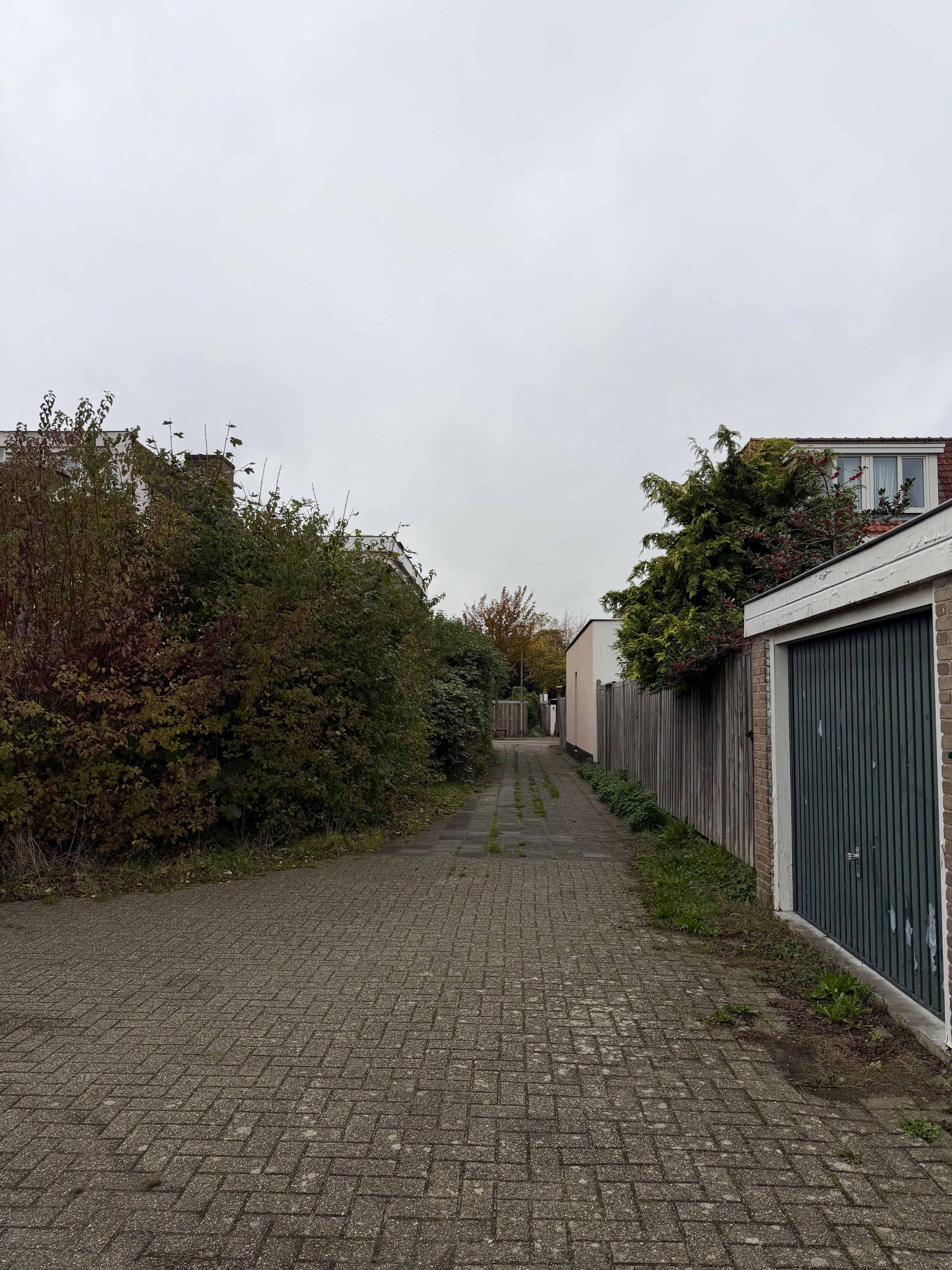 Foto 6 van Henegouwselaan 41-02