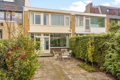 undefined main image