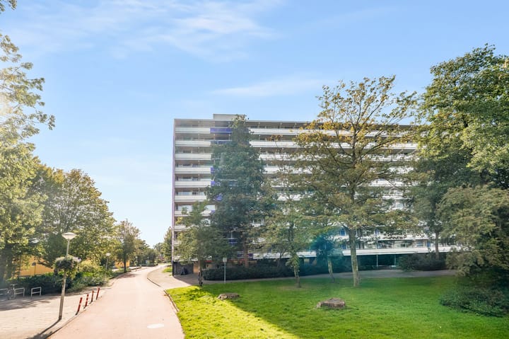 Photo 5 of Tjasker 40