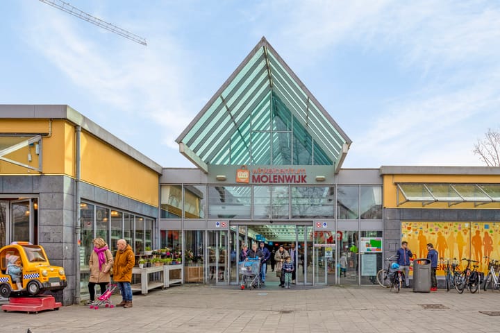 Photo 29 of Tjasker 40