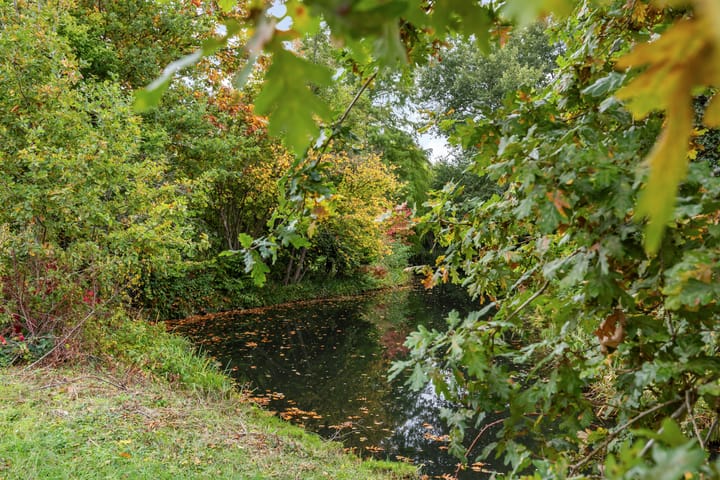 Photo 76 of Everdonk 12