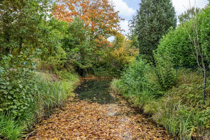 Photo 78 of Everdonk 12