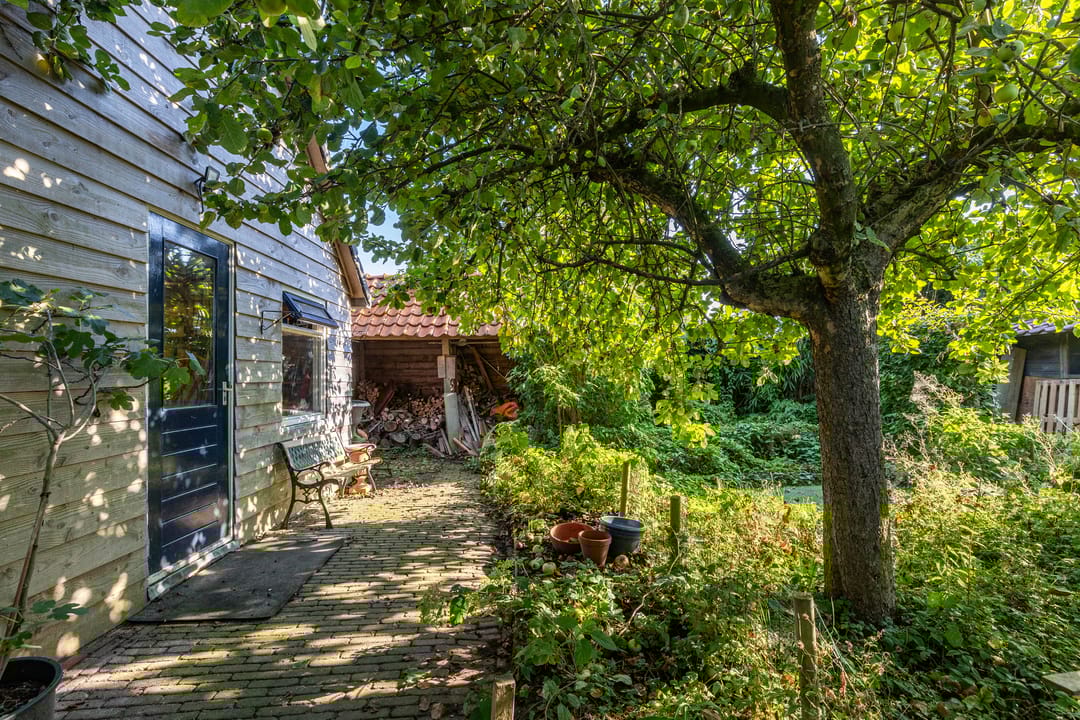 Foto 31 van Borgweg 62