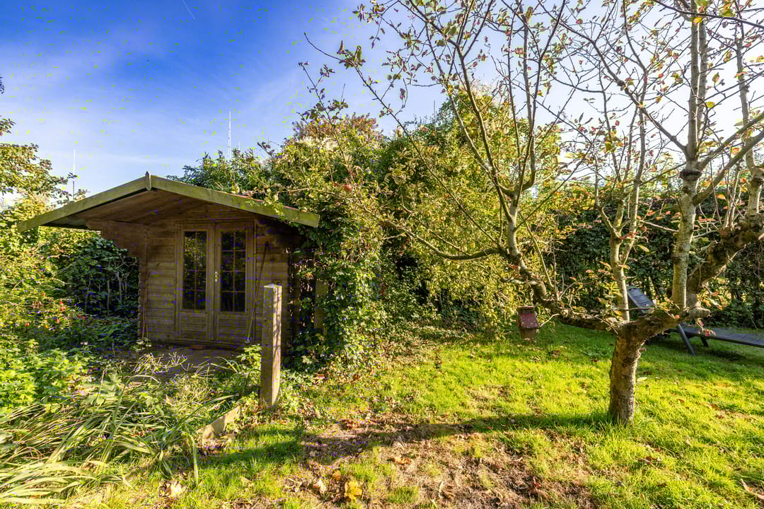 Foto 37 van Borgweg 62