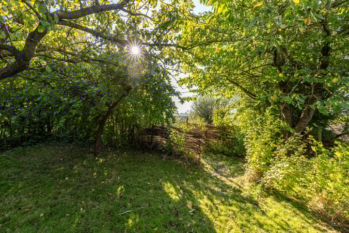 Foto 38 van Borgweg 62