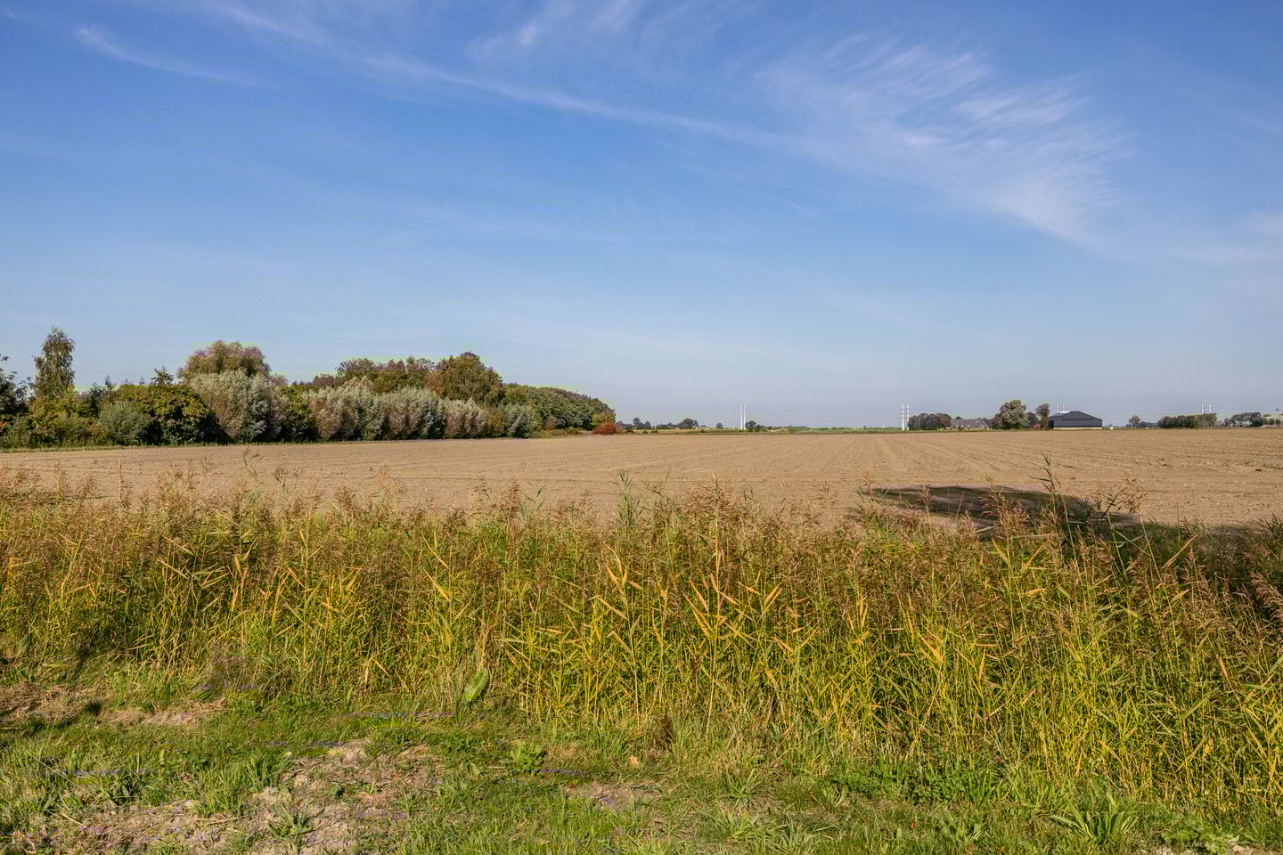 Foto 44 van Borgweg 62