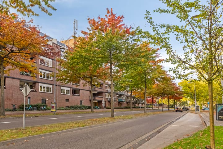 Foto 7 van Franklin D Rooseveltlaan 1