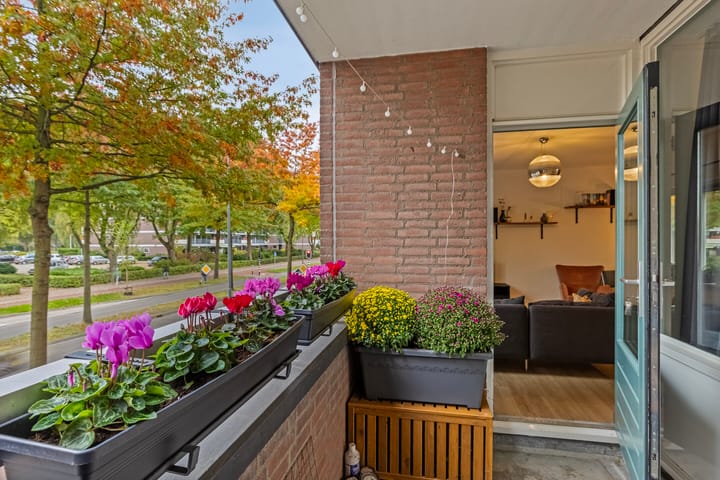 Foto 27 van Franklin D Rooseveltlaan 1