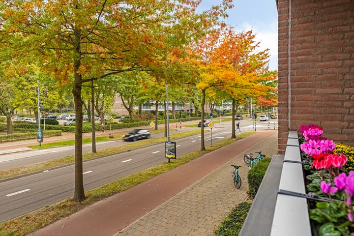 Foto 28 van Franklin D Rooseveltlaan 1