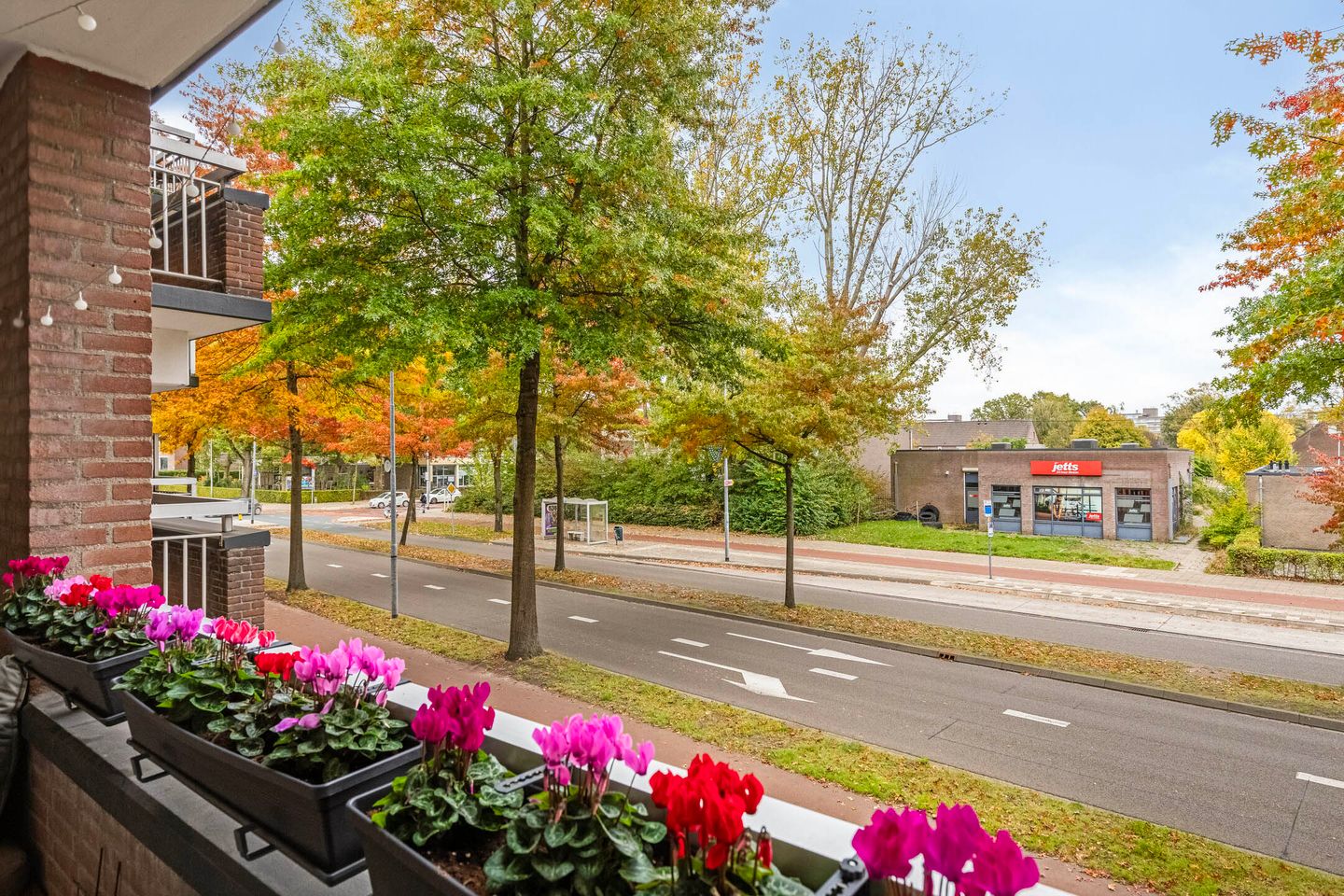 Photo 29 of Franklin D Rooseveltlaan 1