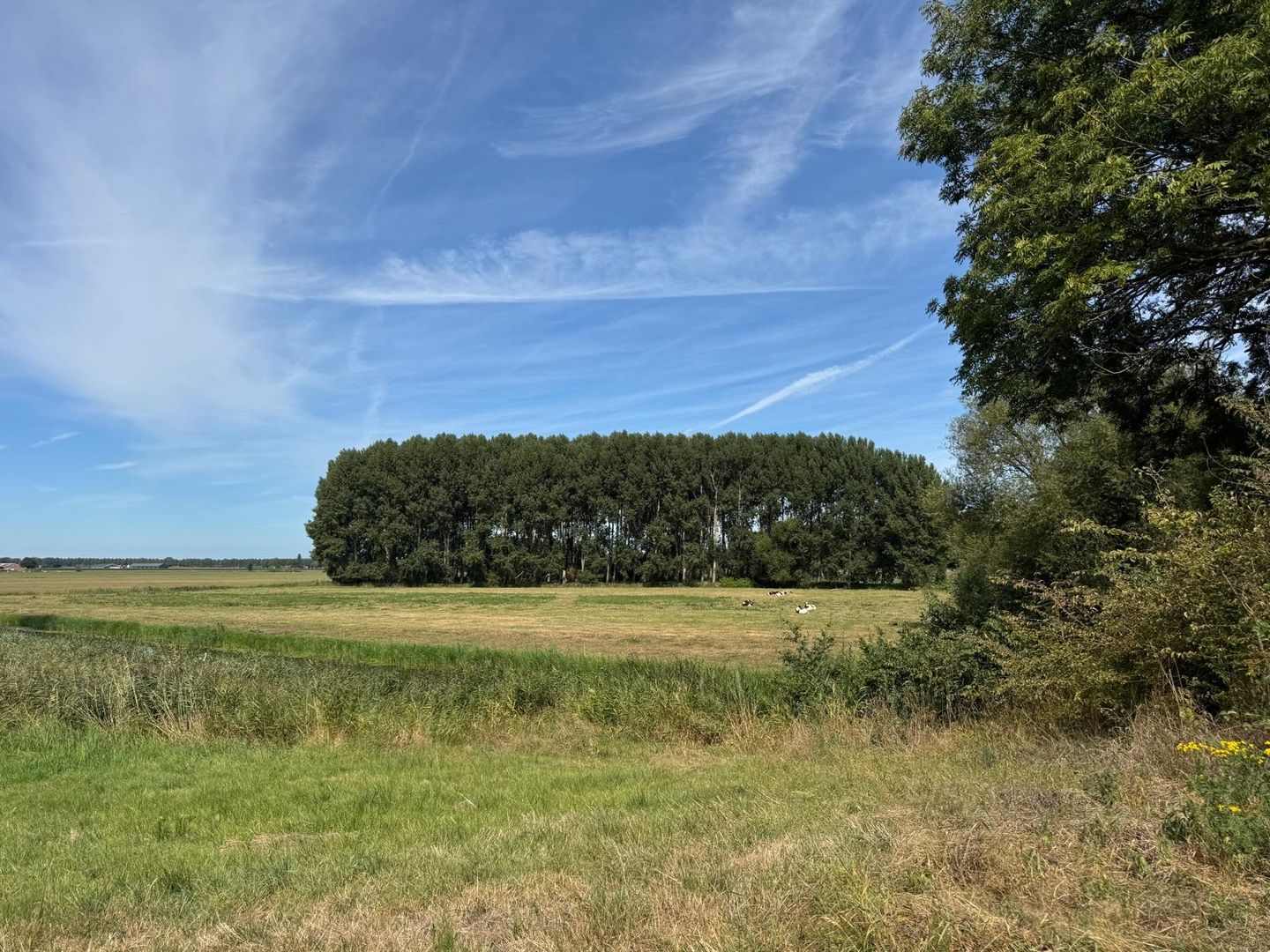 Zeedijk - Elshout - Afbeelding 1