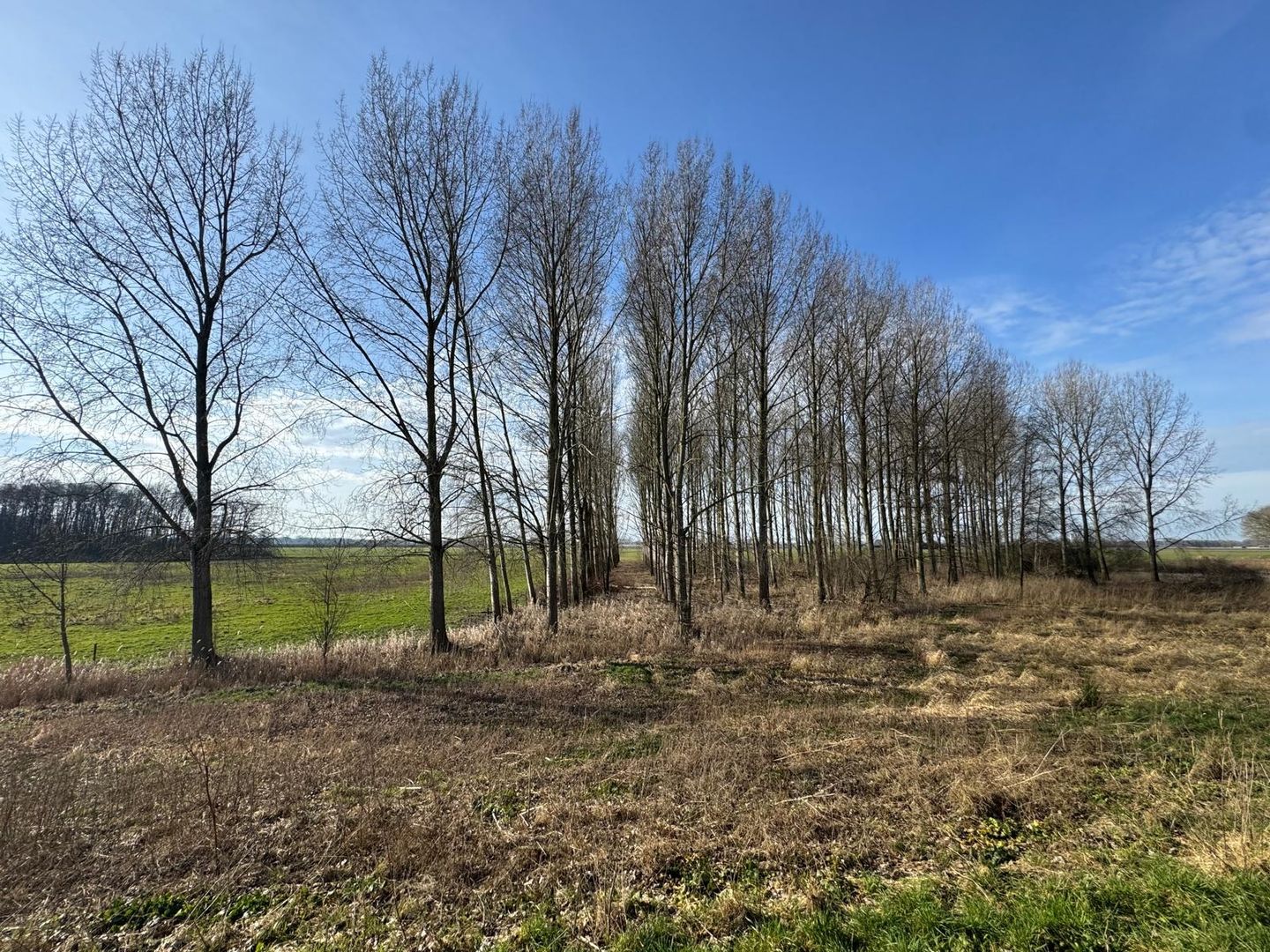 Bekijk foto 2 van Zeedijk