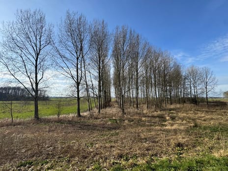 Bekijk foto's
