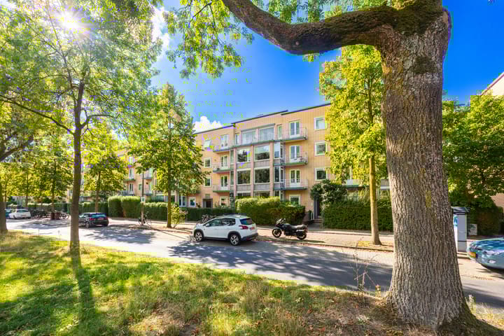 Photo 27 of Joseph Haydnlaan 38