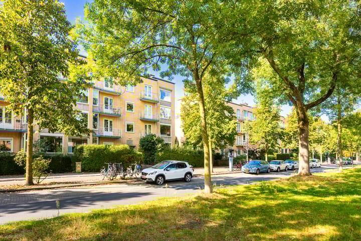 Photo 28 of Joseph Haydnlaan 38