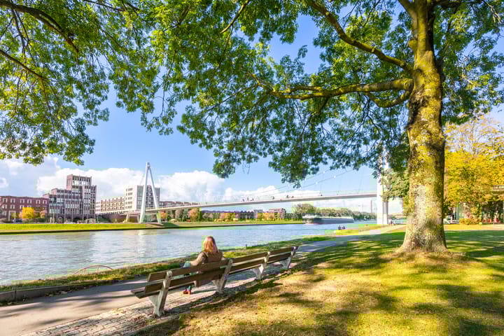 Photo 29 of Joseph Haydnlaan 38