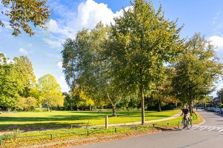 Photo 32 of Joseph Haydnlaan 38