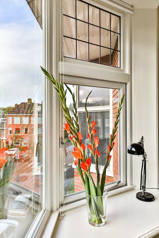 Photo 12 of Van Royenlaan 43-A