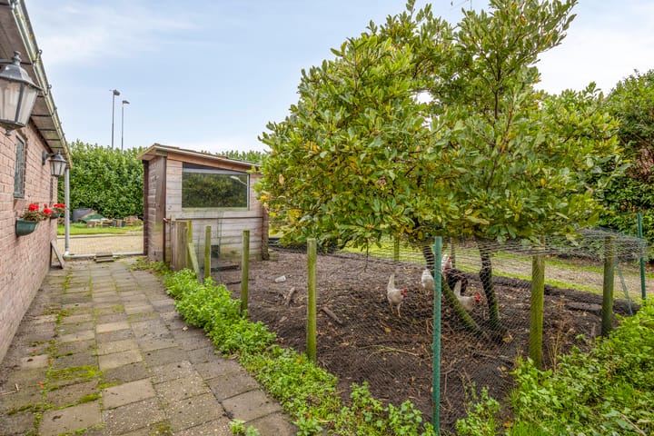 Foto 42 van Ommerkanaal Oost 32