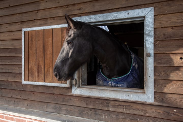 Foto 51 van Achtergaardsestraat 25