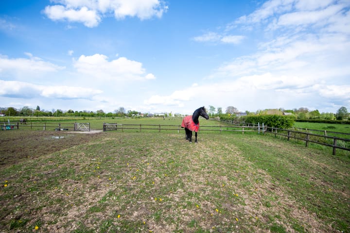 Foto 62 van Achtergaardsestraat 25