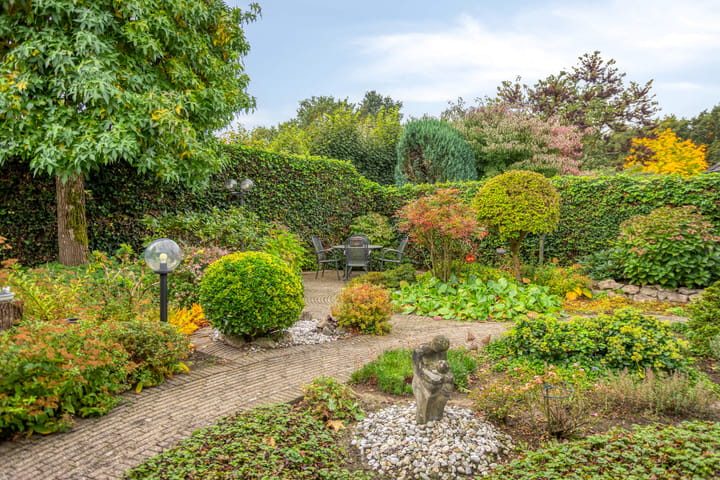 Foto 2 van Hortensia 12