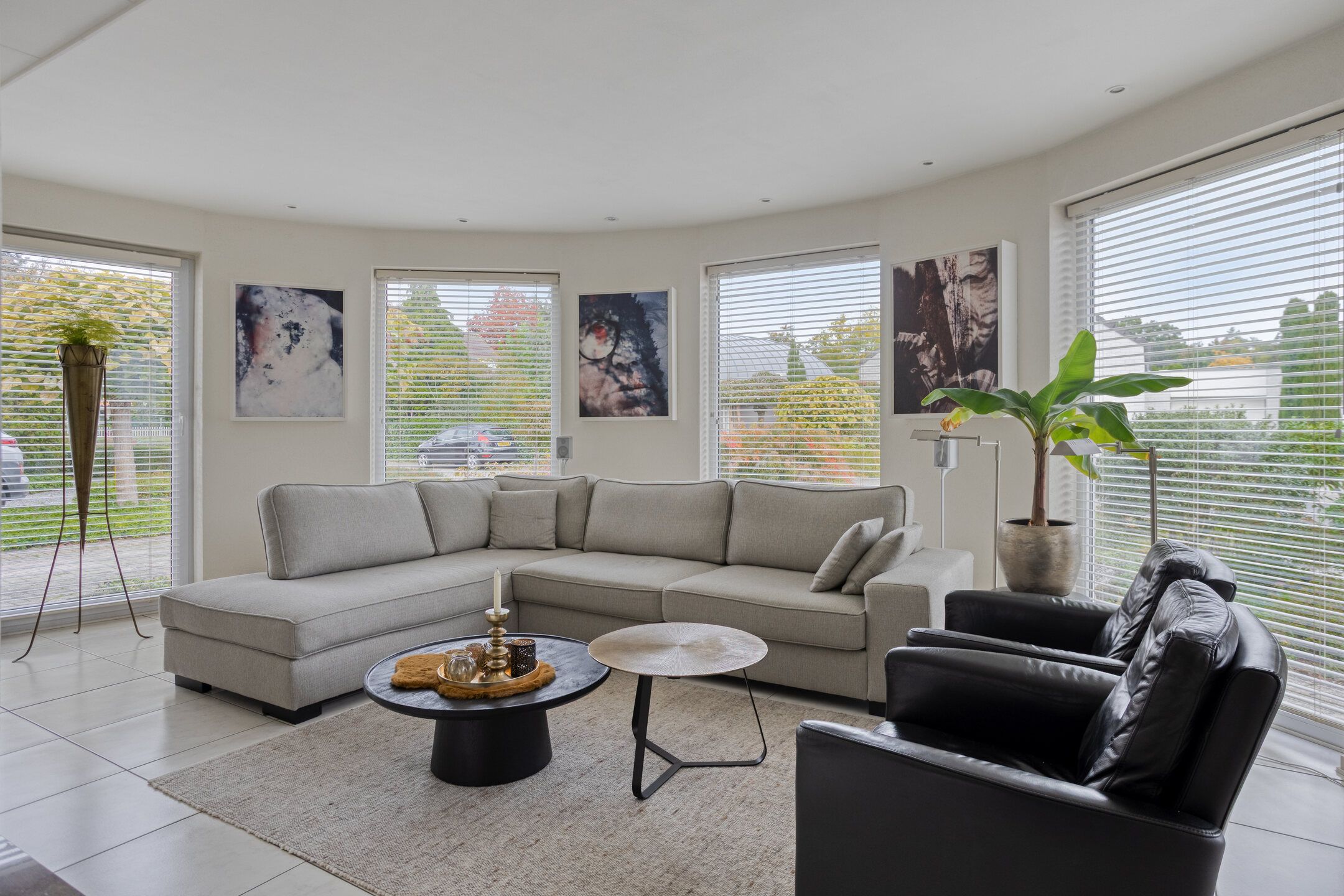 Foto 6 van Hortensia 12