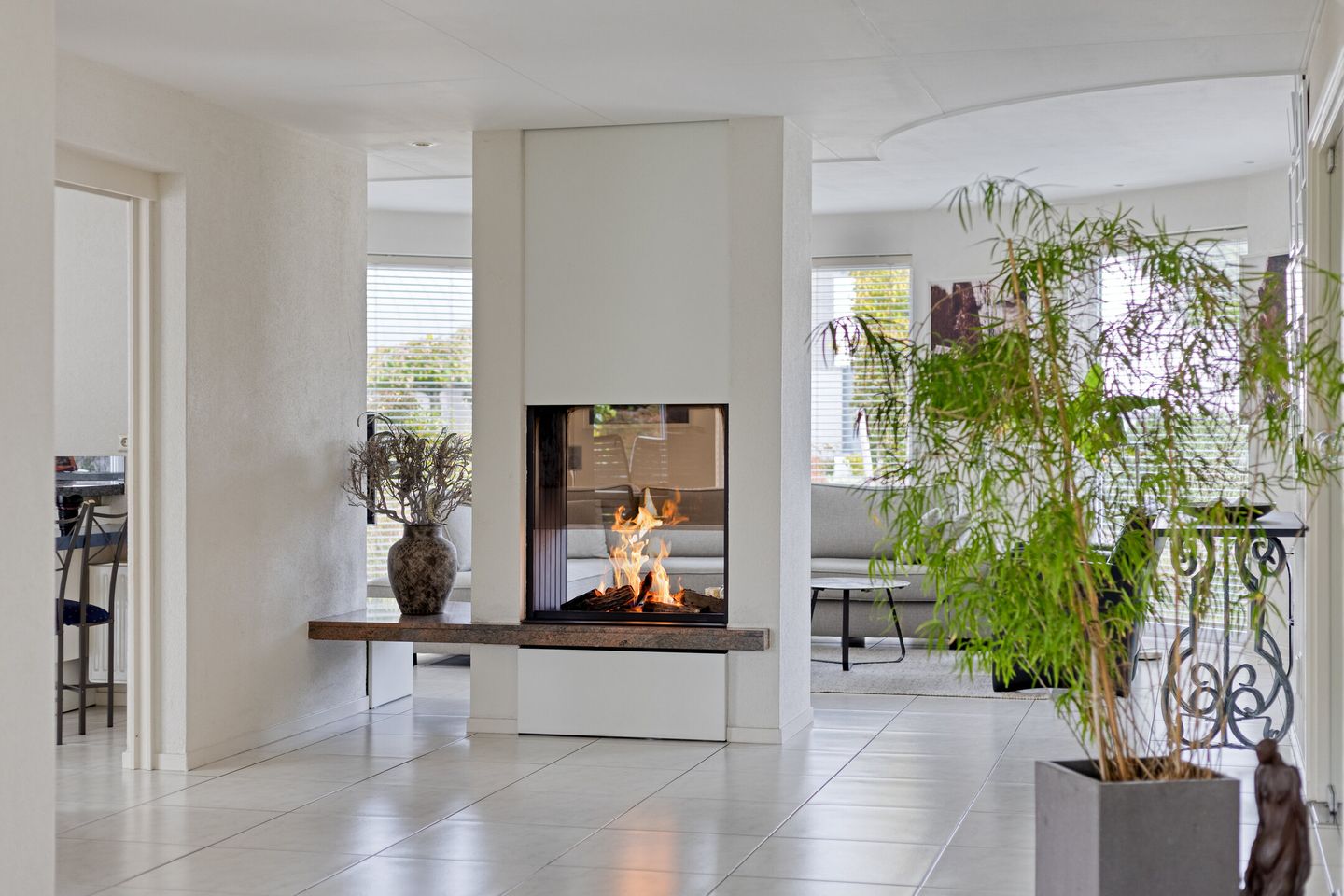 Foto 10 van Hortensia 12