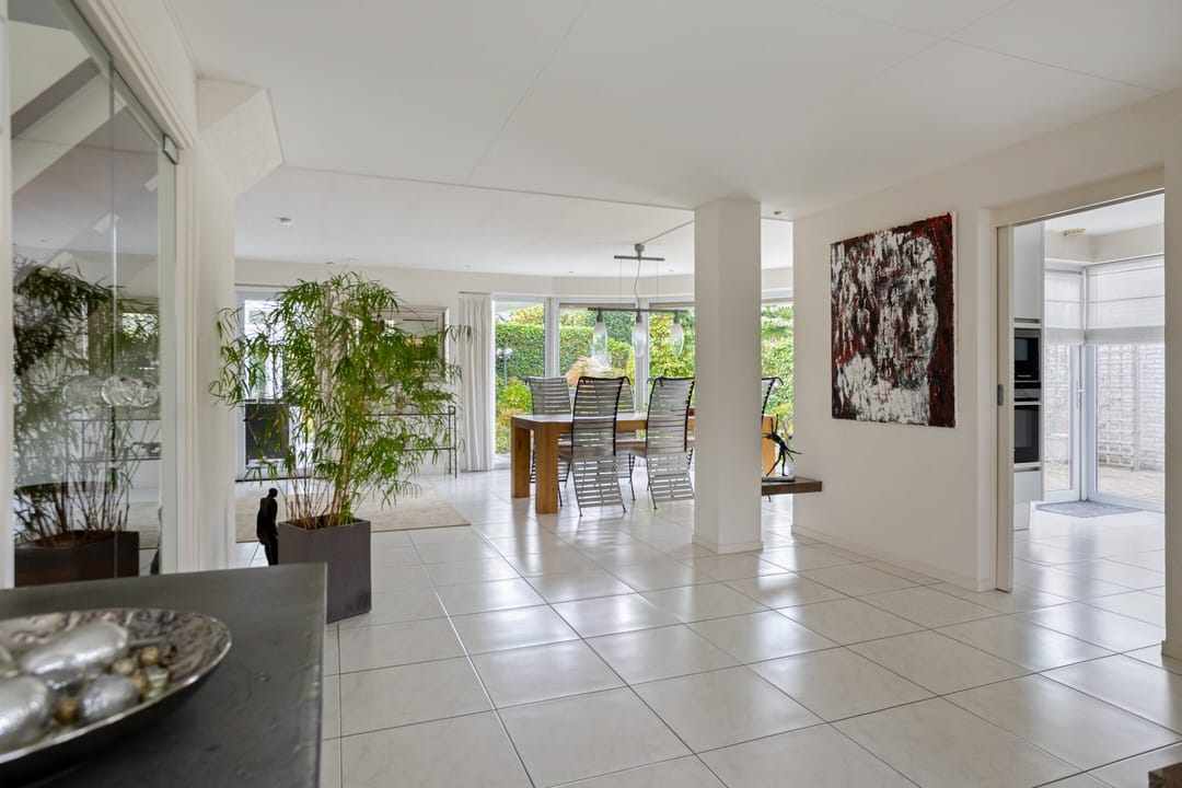 Foto 11 van Hortensia 12