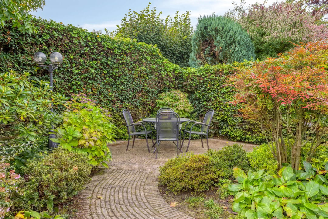 Foto 38 van Hortensia 12