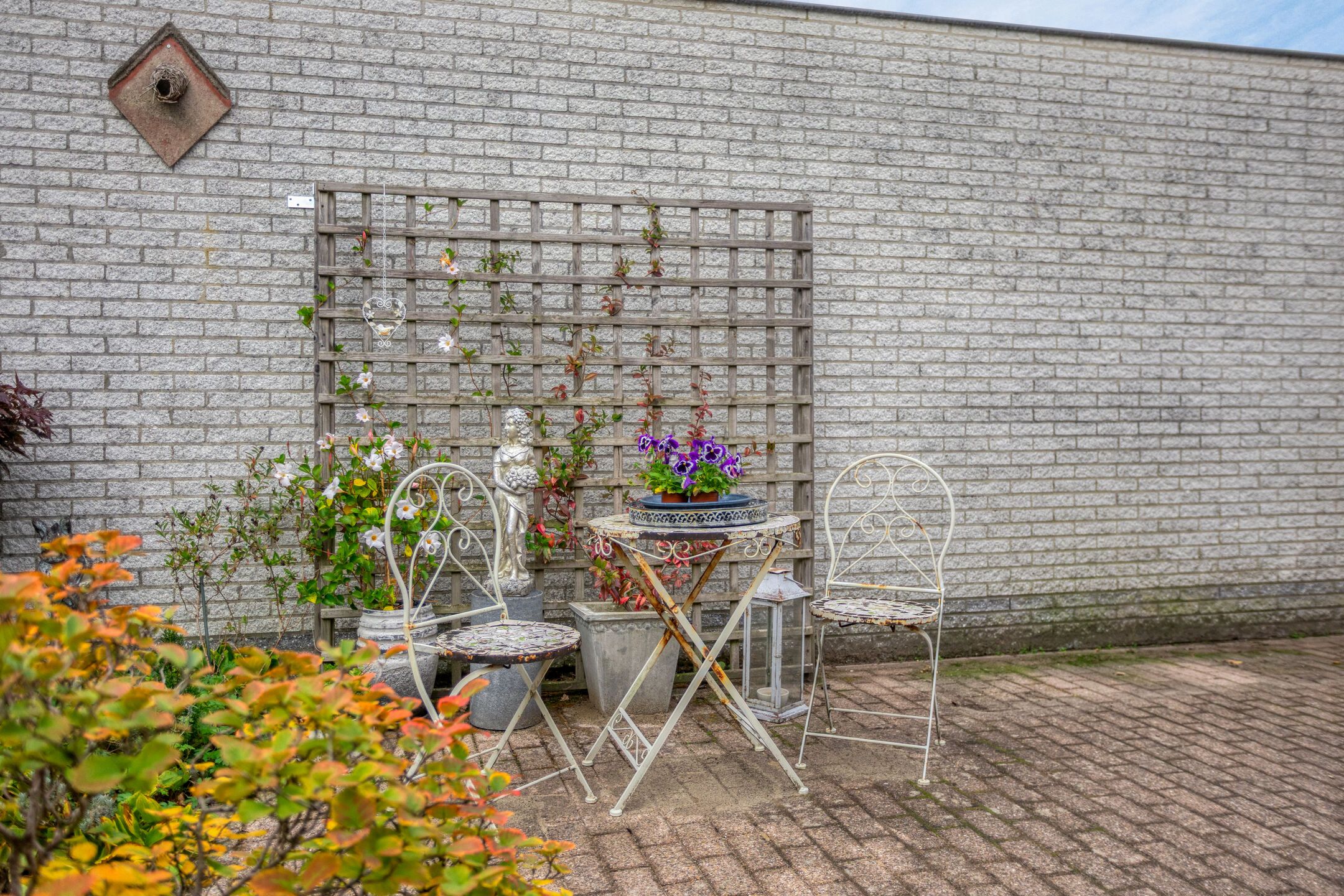 Foto 39 van Hortensia 12