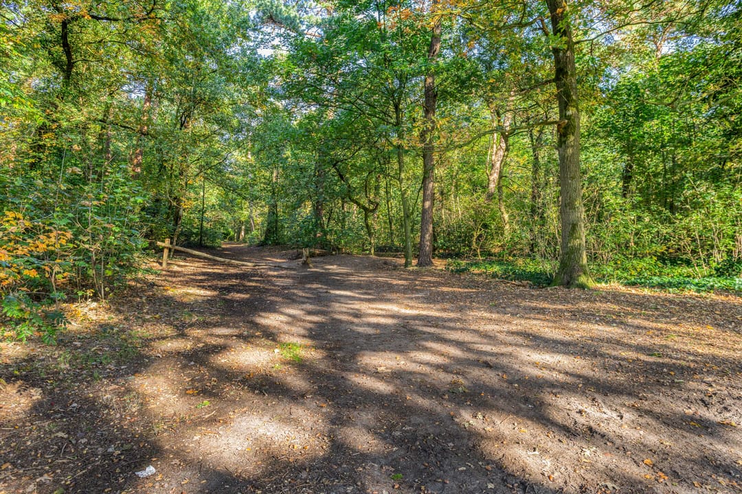 Foto 43 van Hortensia 12