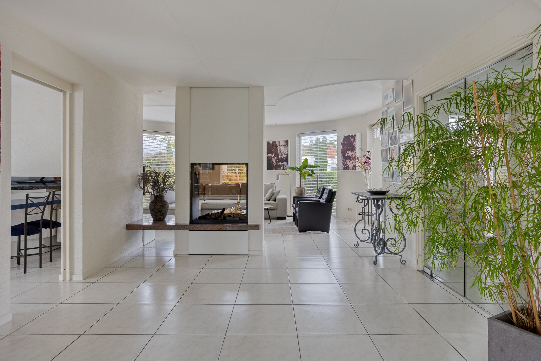 Foto 12 van Hortensia 12