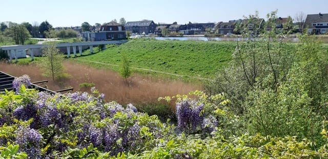 Foto 36 van Pracanalaan 80