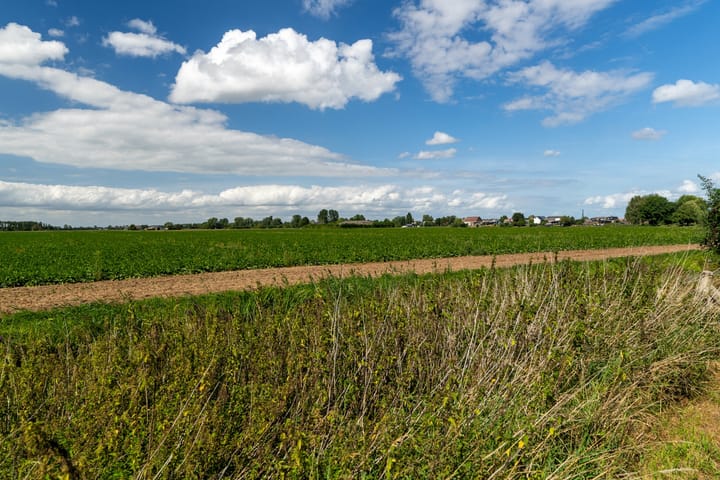 Photo 44 of Buitendijk 24