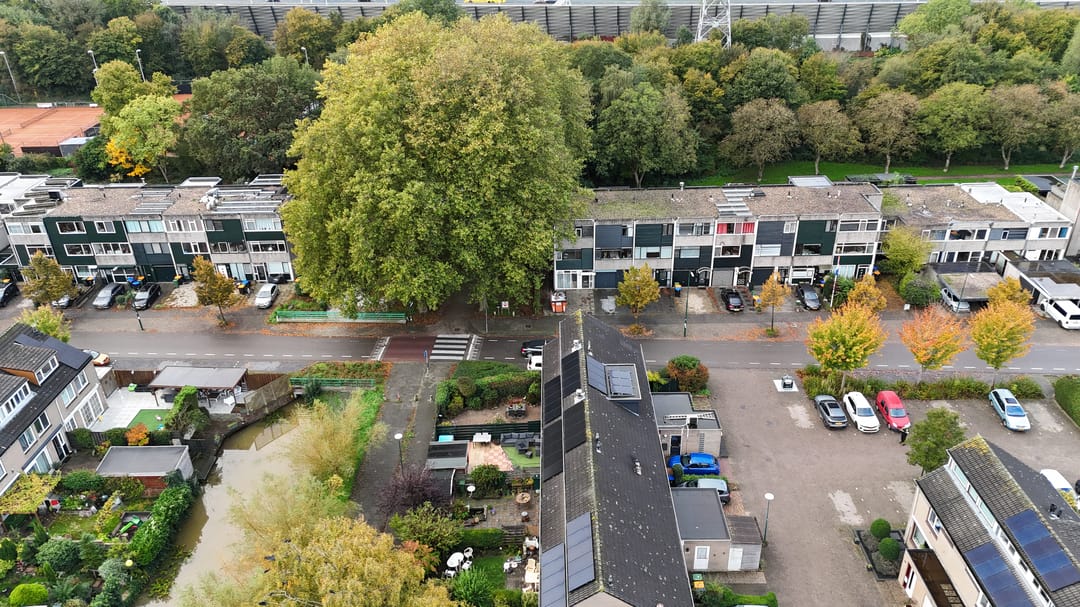 Foto 32 van Boomstede 565