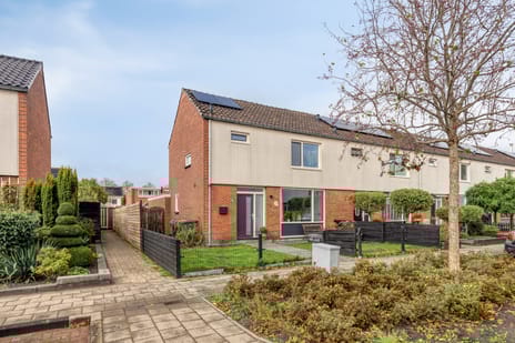 undefined main image