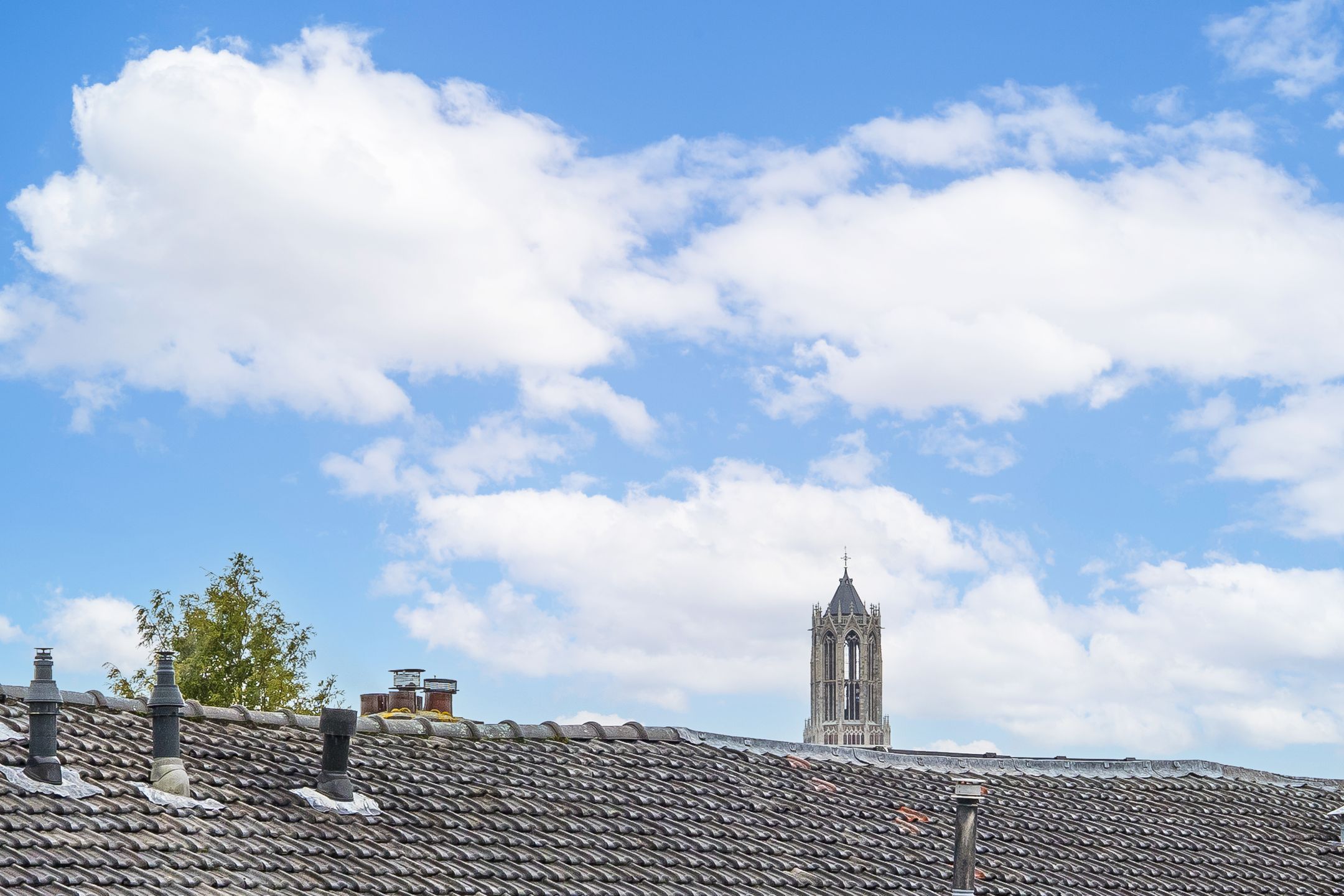 Foto 33 van Adelaarstraat 59