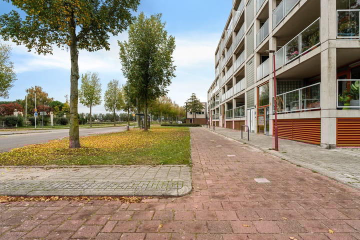 Foto 47 van Schansbaan 113-D