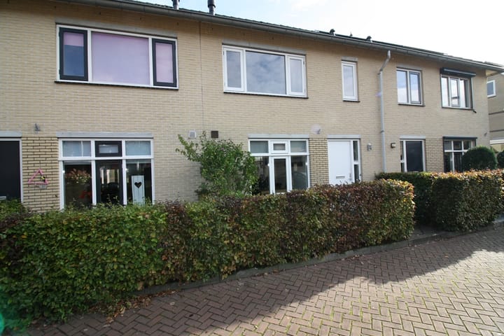 Photo 25 of Esrand 24