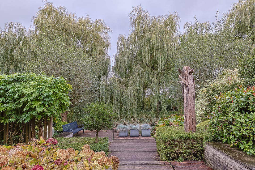 Photo 31 of Lentekade 15