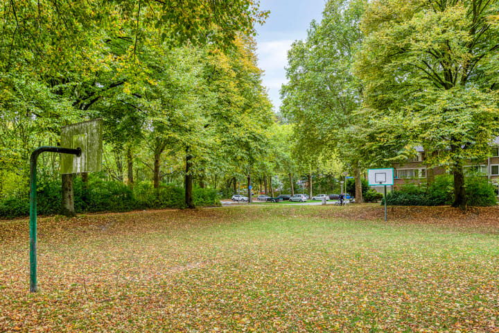 Foto 46 van Hulstbosakker 19