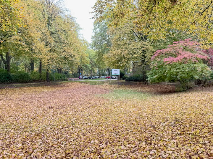 Foto 48 van Hulstbosakker 19